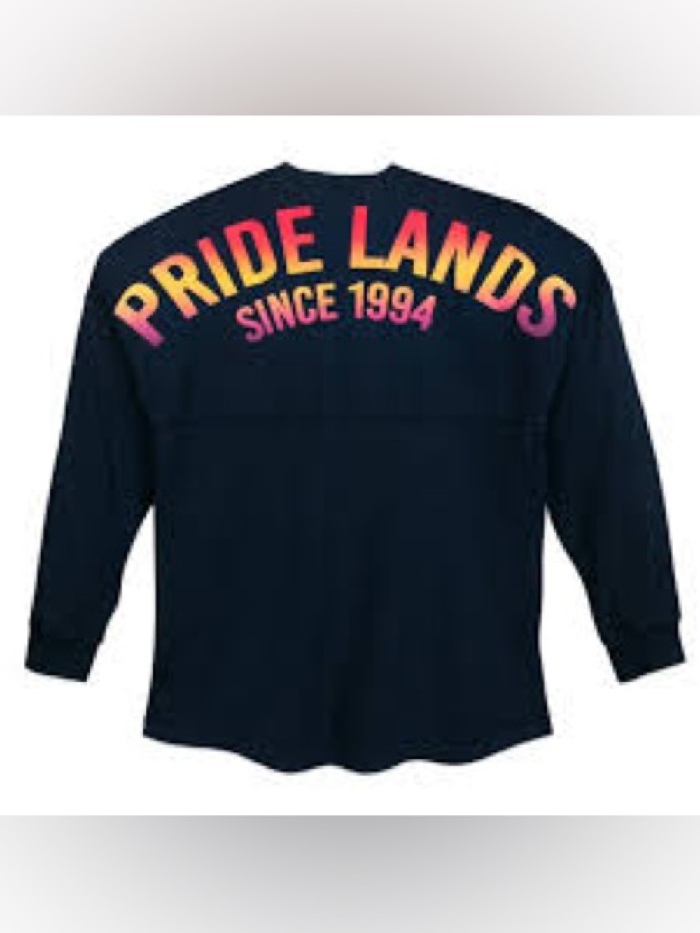 Disney “Spirit Jersey”